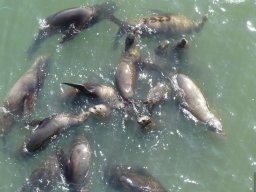 California2007-2008-020